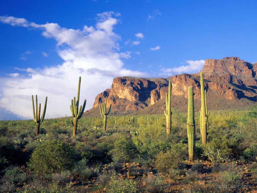 Superstition Mountains, Tonto National Forest, Arizona